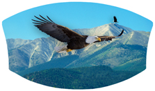 DNSWILL 130 Soaring Eagle Im Free